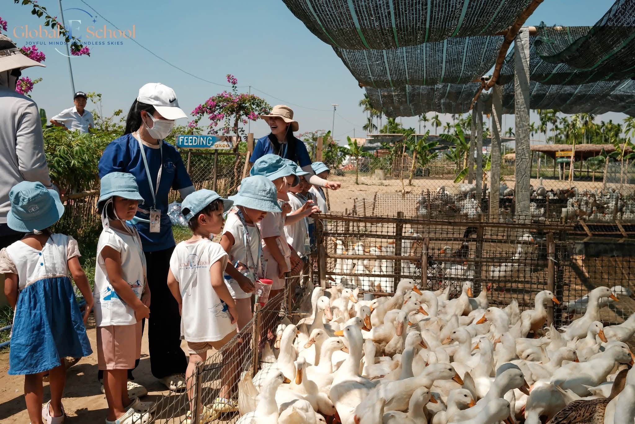 A WONDERFUL DAY AT DUCK SHOP