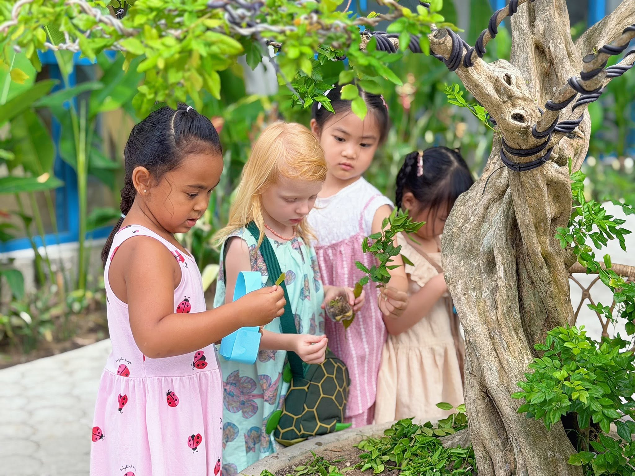 LEARNING BEYOND WALLS, GROWING WITHIN NATURE 