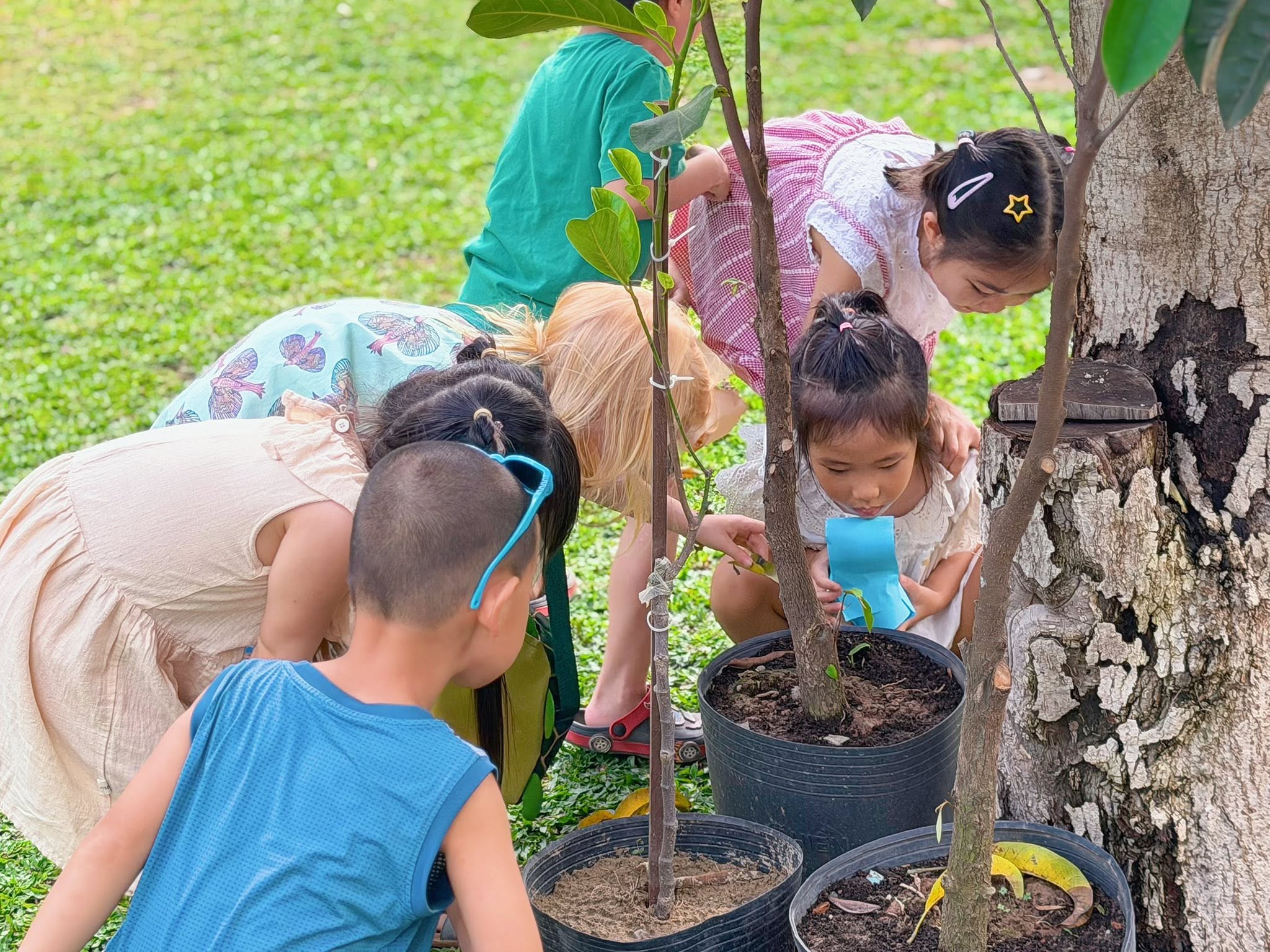 LEARNING BEYOND WALLS, GROWING WITHIN NATURE 