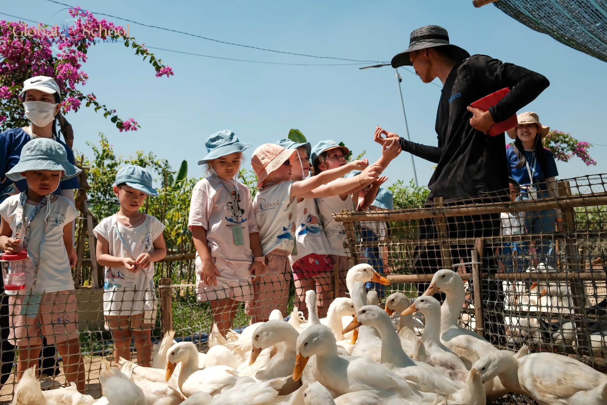 A WONDERFUL DAY AT DUCK SHOP